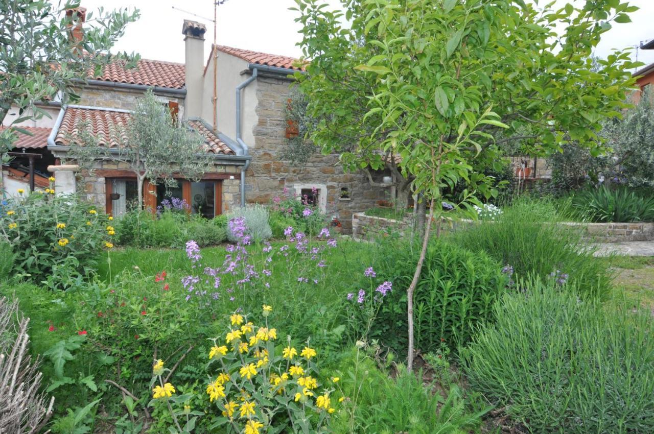 Istrian Stone House Villa Secovlje Exterior photo