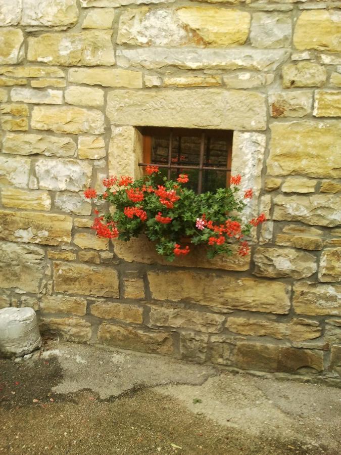 Istrian Stone House Villa Secovlje Exterior photo